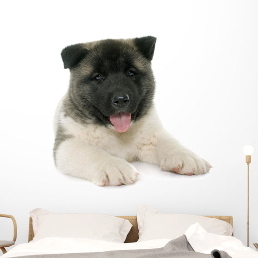 Puppy American Akita Wall Decal