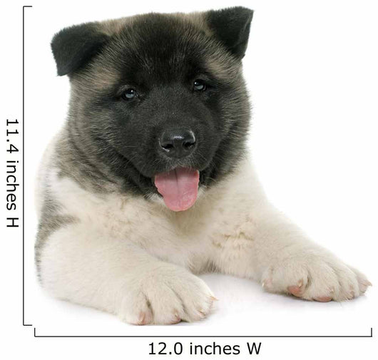 Puppy American Akita Wall Decal