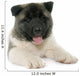 Puppy American Akita Wall Decal