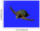 3D Great Sea Turtle Wall Decal Design 2