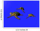 3D Great Sea Turtle Wall Decal Design 1
