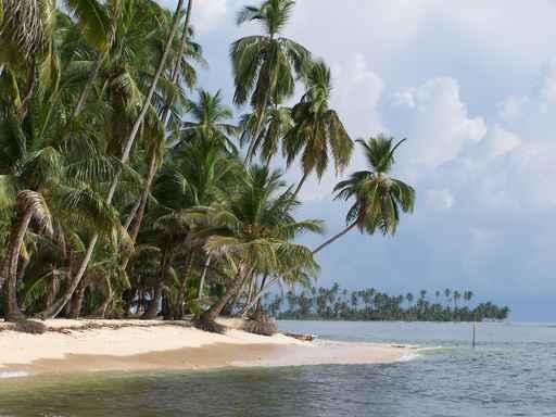 Strand Mit Palmen Auf Wall Decal