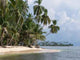 Strand Mit Palmen Auf Wall Decal