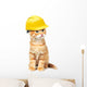 Red Cat with Helmet Wall Decal
