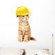 Red Cat with Helmet Wall Decal