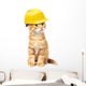 Red Cat with Helmet Wall Decal