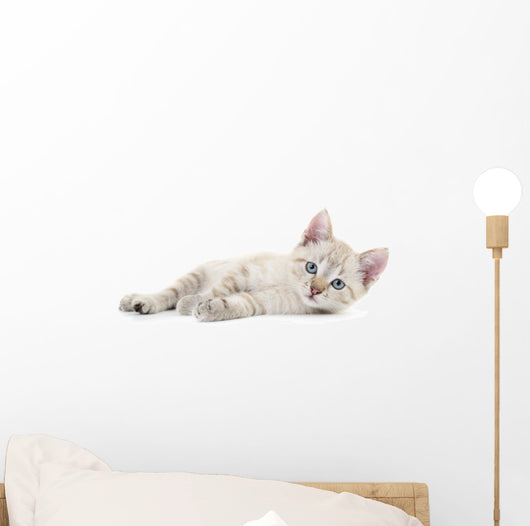 Kitten Wall Decal