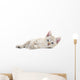 Kitten Wall Decal