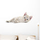 Kitten Wall Decal