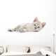 Kitten Wall Decal