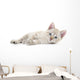 Kitten Wall Decal