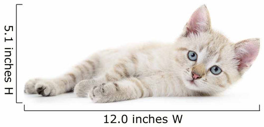 Kitten Wall Decal