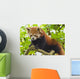 Climbing Red Panda Wall Decal