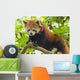 Climbing Red Panda Wall Decal