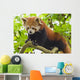 Climbing Red Panda Wall Decal