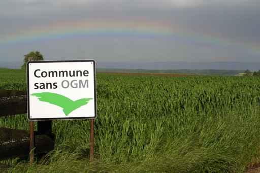 Non-gmo Wall Decal
