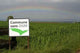 Non-gmo Wall Decal