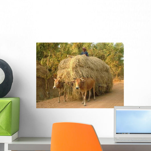 Char Has Oxen Wall Decal