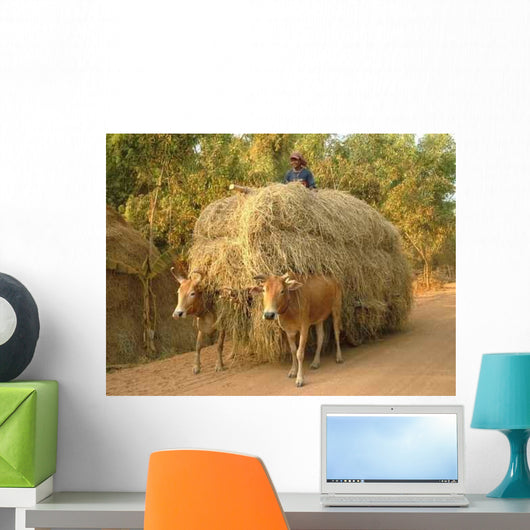 Char Has Oxen Wall Decal