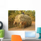 Char Has Oxen Wall Decal
