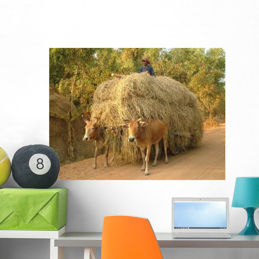 Char Has Oxen Wall Decal