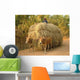Char Has Oxen Wall Decal