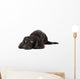 Sad Dachshund Dog Wall Decal