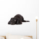 Sad Dachshund Dog Wall Decal