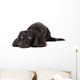 Sad Dachshund Dog Wall Decal