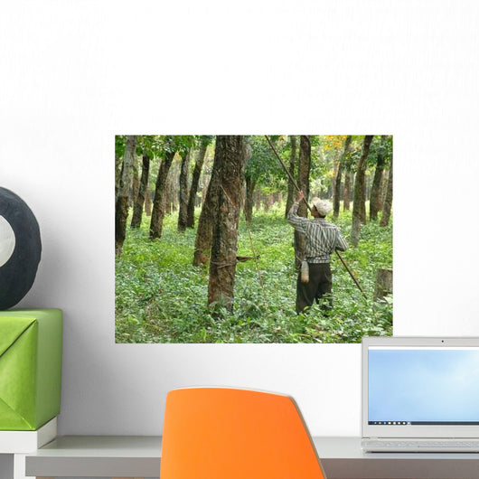 Rubber Plantation Wall Decal
