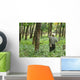 Rubber Plantation Wall Decal