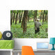 Rubber Plantation Wall Decal