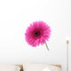 Pretty Pink Wall Decal
