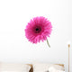 Pretty Pink Wall Decal