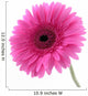 Pretty Pink Wall Decal