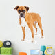 Boxer Dog Wall Decal