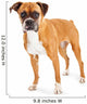Boxer Dog Wall Decal