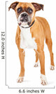Cute Boxer Dog Wall Decal