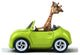 Fun Giraffe Wall Decal