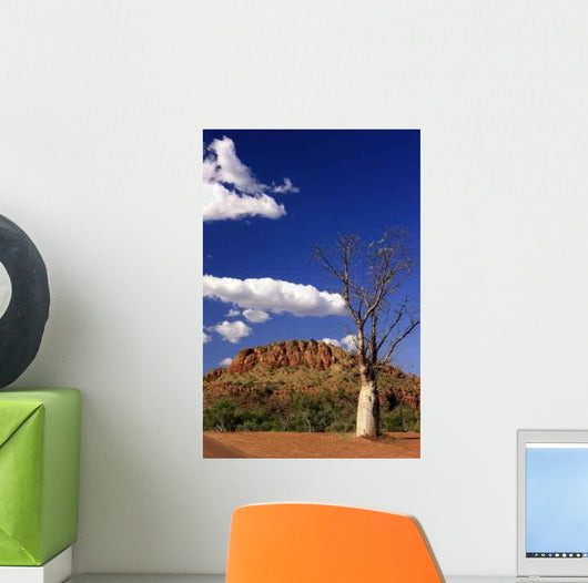 Bottle Tree Boab Wall Decal