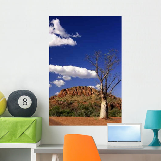 Bottle Tree Boab Wall Decal