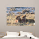 Lion Group Etosha Wall Decal