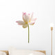 White Lotus Flower against Wall Decal