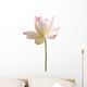 White Lotus Flower against Wall Decal