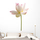 White Lotus Flower against Wall Decal