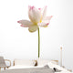 White Lotus Flower against Wall Decal
