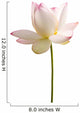 White Lotus Flower against Wall Decal