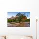Zion National Park Canyon Wall Decal
