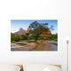 Zion National Park Canyon Wall Decal