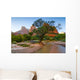 Zion National Park Canyon Wall Decal